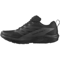 Кросівки для бігу Чоловічі Salomon SENSE RIDE 5 GTX Gore-Tex (471472)