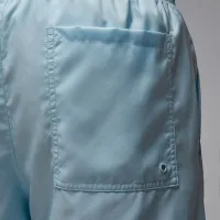 Nike Jordan Essentials мужские шорты синий