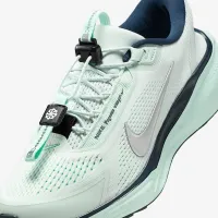 Nike Pegasus EasyOn жіноча Road Running Кросівки блакитний