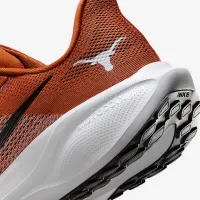 Texas Pegasus 41 чоловічі Nike College Road Running Кросівки Orange