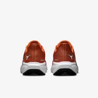 Texas Pegasus 41 чоловічі Nike College Road Running Кросівки Orange