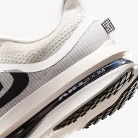 Nike Pegasus Premium мужские Road Running Кроссовки цвет серый