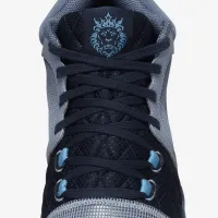 Nike LeBron Witness 8 баскетбольні Кросівки блакитний