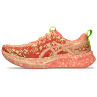 Кроссовки для бега ASICS NOOSA TRI 16 (1011B872 800)