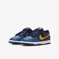 Nike Dunk Low Big дитячі Кросівки блакитний
