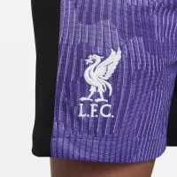 Liverpool FC 2023/24 Stadium Third Big детские Nike Dri-FIT Soccer шорты цвет фиолетовый