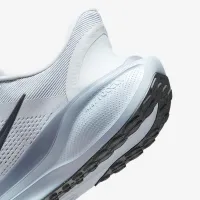 Nike Pegasus EasyOn чоловічі Road Running Кросівки колір сірий