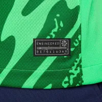 Paris Saint-Germain 2024/25 Stadium Goalkeeper чоловічі Nike Dri-FIT Soccer Replica Long-Sleeve Jersey колір зелений