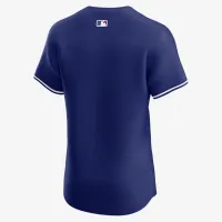 Los Angeles Dodgers чоловічі Nike Dri-FIT ADV MLB Elite Jersey блакитний
