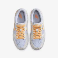 Nike Dunk Low Big детские Кроссовки цвет коричневый