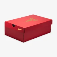 Nike Kobe V Protro баскетбольні Кросівки колір фіолетовий