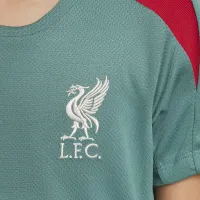Liverpool FC Strike Big детские Nike Dri-FIT Soccer Short-Sleeve Knit Top цвет зеленый
