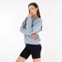 Кофта/футболка Champion Tonal Embroidery Fleece 115478-BS096 - Блакитна