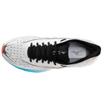 Мужские Кроссовки для бега MIZUNO WAVE SKYRISE 6 (J1GC250906)