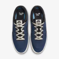 Nike SB Malor чоловічі Кросівки блакитний