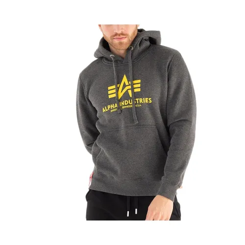 Кофта/футболка Alpha Industries Basic Hoody 178312315 - Сіра
