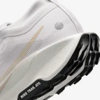 Nike Pegasus Trail 5 GORE-TEX чоловічі Waterproof Trail Running Кросівки колір сірий