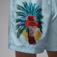 Nike Jordan Essentials мужские шорты синий
