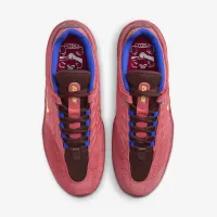 Nike SB Vertebrae Skate Кроссовки цвет красный