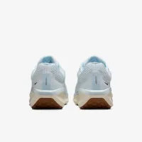 Nike Winflo 11 мужские Road Running Кроссовки цвет белый