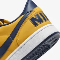 Nike Terminator Low мужские Кроссовки Yellow