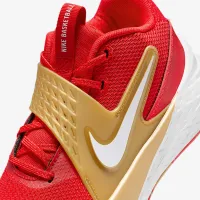 Nike Team Hustle D 12 Big детские баскетбольные Кроссовки цвет красный