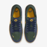 Nike SB Force 58 Skate Кросівки блакитний