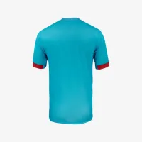 Chicago колір червоний Stars 2025 Stadium Home чоловічі Nike Dri-FIT NWSL Replica Jersey блакитний