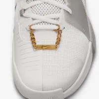 NikeCourt GP Challenge 1 Premium мужские Hard Court Tennis Кроссовки цвет серый
