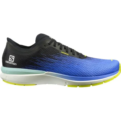 Кроссовки для бега Мужские Salomon SONIC ACCELERATE 4 (413028)