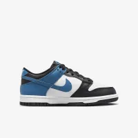 Nike Dunk Low Big детские Кроссовки цвет белый