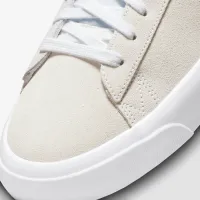 Nike SB Zoom Blazer Low Pro GT Skate Кросівки колір білий