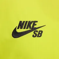Nike SB Long-Sleeve Skate футболка колір білий
