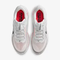 Nike Pegasus Premium мужские Road Running Кроссовки цвет белый