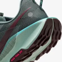 Nike Pegasus Trail 5 мужские Trail Running Кроссовки цвет серый