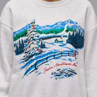 Nike Jordan Brooklyn Fleece женская Crew-Neck свитшот цвет коричневый