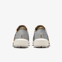 Nike Air Zoom Infinity Tour NRG для гольфа Кроссовки (Wide) цвет серый