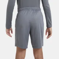Nike Trophy23 Big детские Dri-FIT тренировочные шорты цвет серый