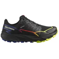 Кросівки Чоловічі SALOMON THUNDERCROSS GTX Gore-Tex (475514)