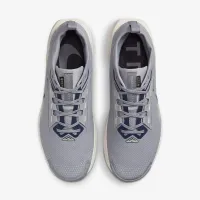 Nike Pegasus Trail 5 GORE-TEX чоловічі Waterproof Trail Running Кросівки колір сірий