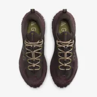 Nike ACG Mountain Fly 2 Low GORE-TEX чоловічі Кросівки колір коричневий