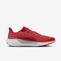 Ohio State Pegasus 41 мужские Nike College Road Running Кроссовки цвет красный