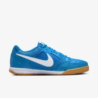 Nike Gato чоловічі Кросівки блакитний