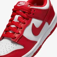 Nike Dunk Low Big детские Кроссовки цвет белый