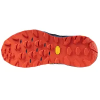 Кроссовки для бега w terenie Mizuno WAVE MUJIN 10 (J1GJ247051)