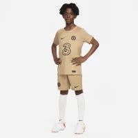 Chelsea FC 2022/23 Stadium Third Big детские Nike Dri-FIT Soccer Jersey цвет коричневый