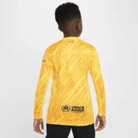 FC Barcelona 2024 Stadium Goalkeeper Big детские Nike Dri-FIT Soccer Replica Jersey Yellow