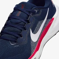 Arizona Pegasus 41 мужские Nike College Road Running Кроссовки синий