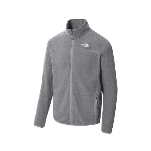 Кофта/футболка The North Face 100 Glacier Full-Zip 0A5IHQDYY1 - Сіра