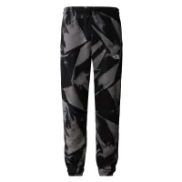 Штани The North Face Essential Jogger Print 0A881JSIF1 - Сірі